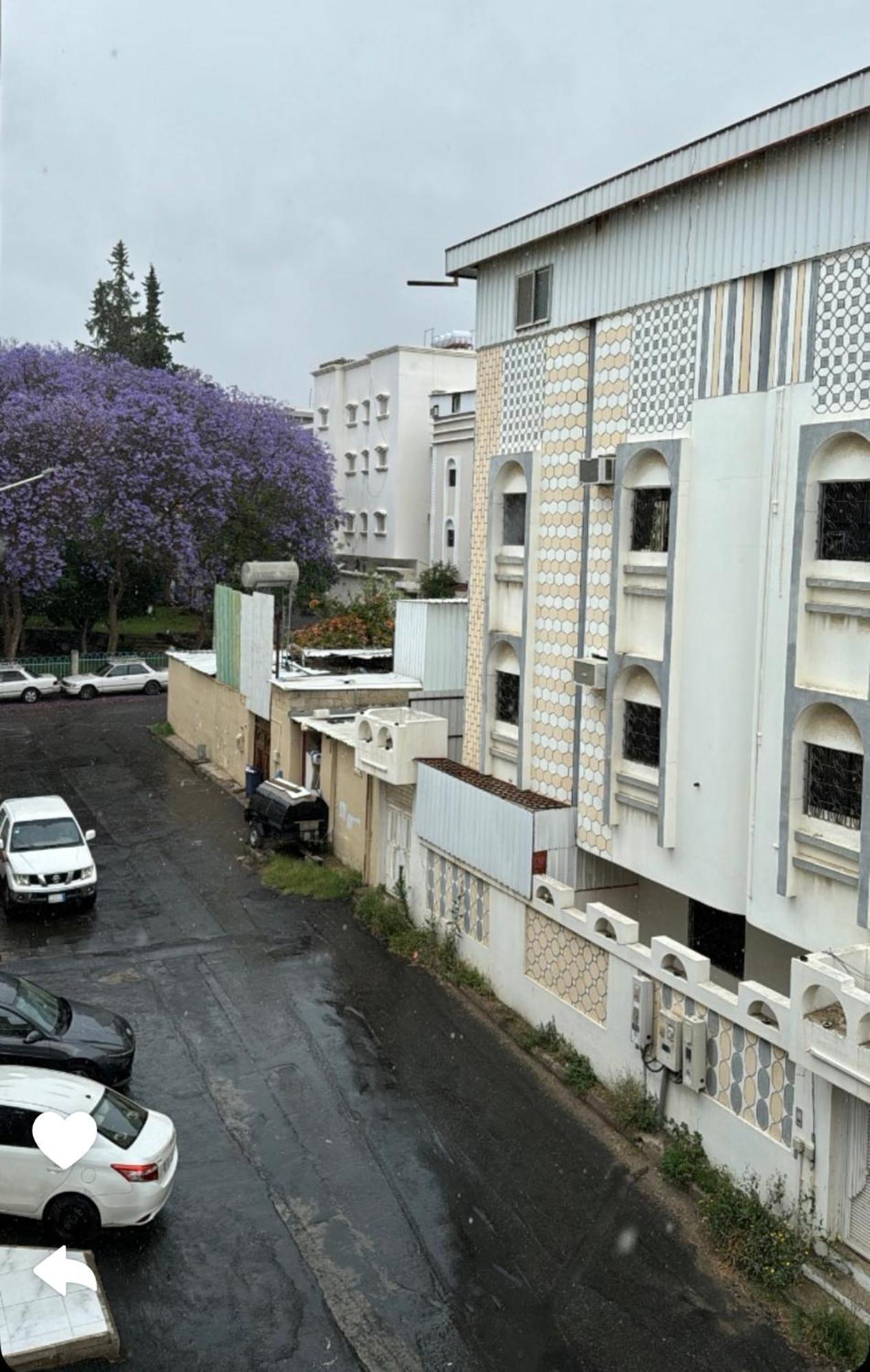 Apartment شهم المفروشه